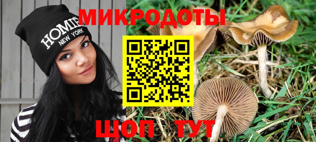 Галлюциногенные грибы GOLDEN TEACHER Ейск