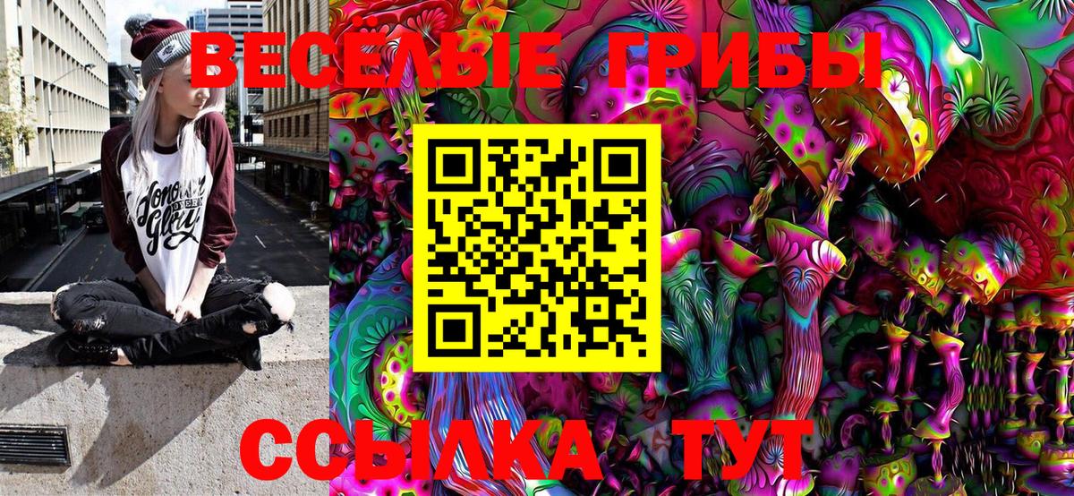 Галлюциногенные грибы Psilocybe  Вход с VPN  Ейск 